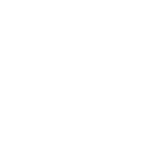 Partner 02